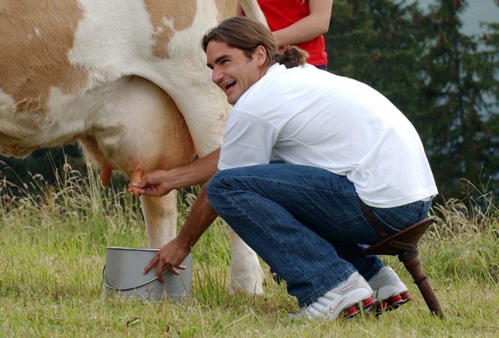 federer_cow